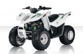 2010 Arctic Cat 90 DVX Youth photo